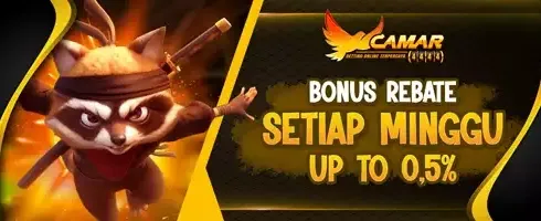 VIP Cashback Rebate Slot 0.5% promotion